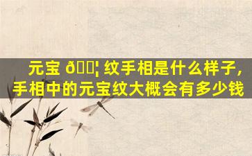 元宝 🐦 纹手相是什么样子,手相中的元宝纹大概会有多少钱